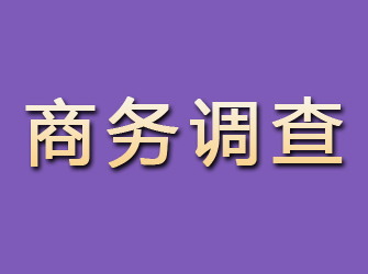 潜山商务调查